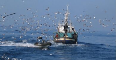 Sancionan a embarcaciones mexicanas por pesca ilegal