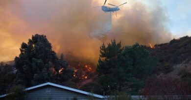 Incendios en Los Ángeles dejan 11 muertos, 13 desaparecidos y miles de evacuados