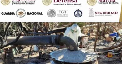 Ejército desmantela 27 laboratorios clandestinos en Sinaloa