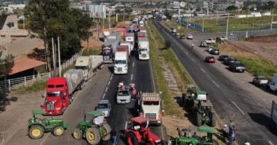 Productores del grano rechazan oferta del gobierno