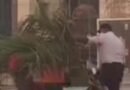 Motociclistas chocan en una palmera a la altura de Fondeport
