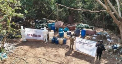 Desmantelan narcolaboratorios en Michoacán, Durango y Sinaloa: García Harfuch