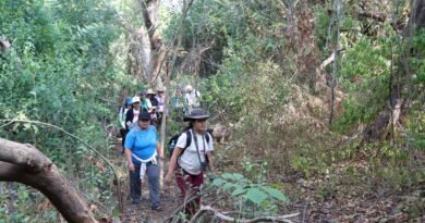 Avanza desarrollo del proyecto “UdeC Crucero | Territorio Biodiverso”, en Tecomán