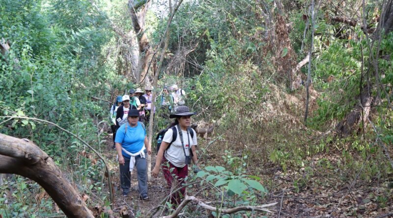 Avanza desarrollo del proyecto “UdeC Crucero | Territorio Biodiverso”, en Tecomán