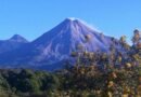 Volcán de Fuego mantiene baja actividad: UEPC Colima