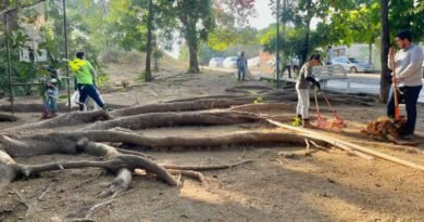 Realiza brigada de limpieza, en Jardines de las Lomas