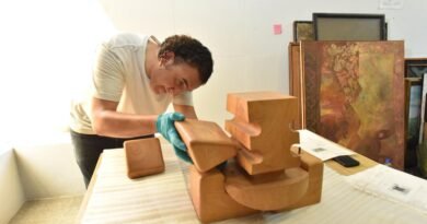 Cultura Colima e INBAL realizan diagnóstico y verificación de obra museográfica