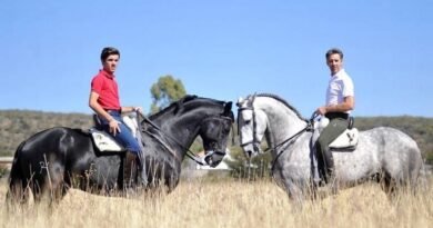 Habrá espectacular rejoneo en el Sábora Fest