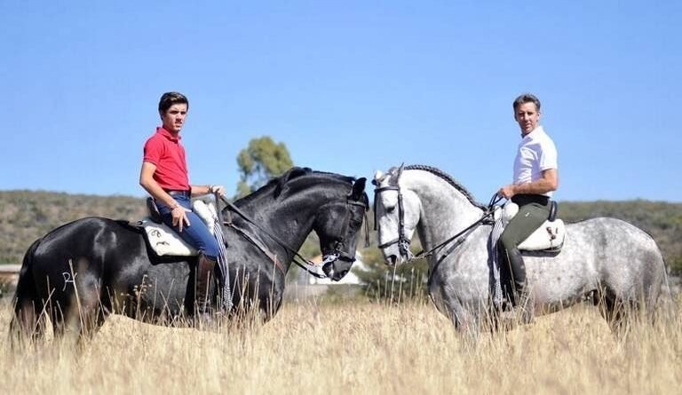 Habrá espectacular rejoneo en el Sábora Fest