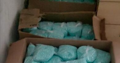 Aseguran en VdeA más de 250 kilos de fentanilo