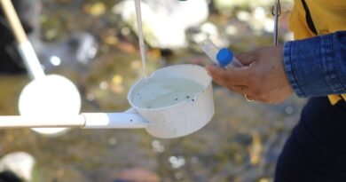 Colima, más de 20 años sin paludismo: Salud