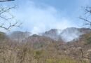 Brigadas mantienen atención activa a incendios forestales