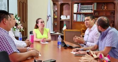 Atenderá CFE reportes de apagones en VdeA