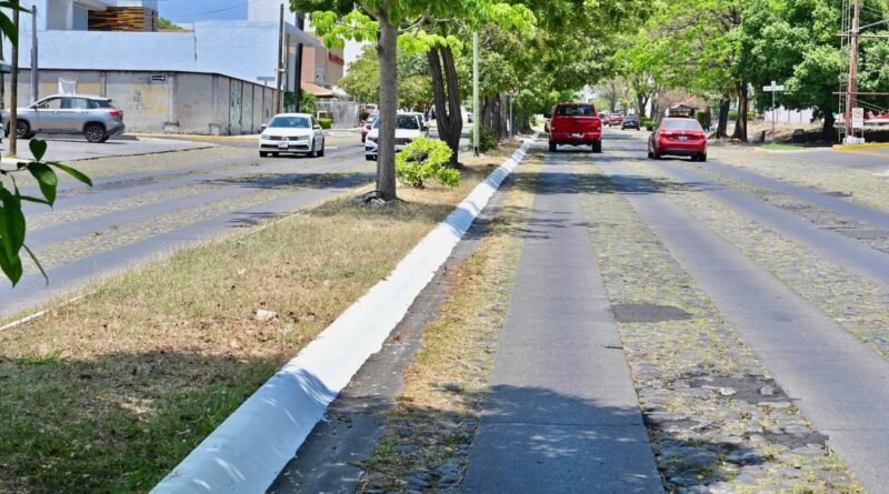 Mejora imagen urbana en principales avenidas de Colima