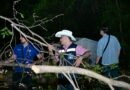 Patrullaje Nocturno llega a Rincón del Colibrí, se ilumina al 100%