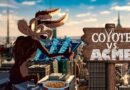 Coyote vs Acme tendrá doblaje en español