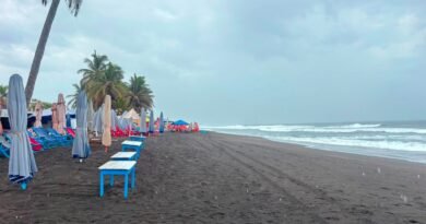 Tormenta tropical ‘Boris’ en el Pacífico representa riesgo bajo para Colima: UEPC