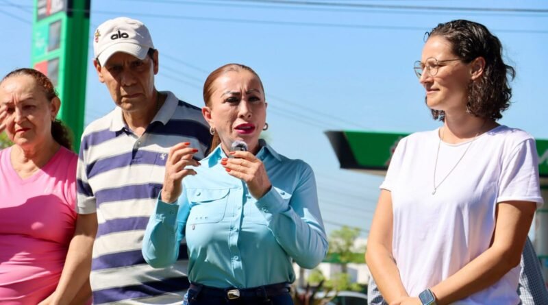 ‎Inician VdeA e IMADES mantenimiento de Parotas para sanearlas de plagas