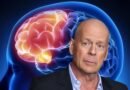 Bruce Willis donara su cerebro a la ciencia