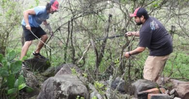 “Descubrir una especie es abrir una ventana al mundo”: Montaño