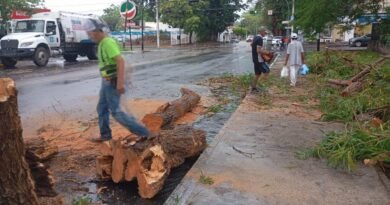Atienden afectaciones por lluvia en vialidades y sur de la capital