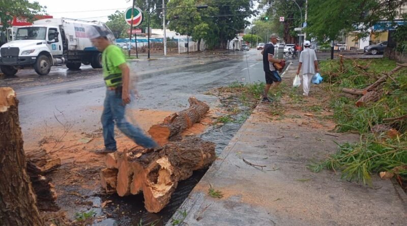 Atienden afectaciones por lluvia en vialidades y sur de la capital