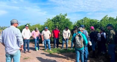 La agricultura necesita menos respuestas rápidas y más preguntas inteligentes: Jalban