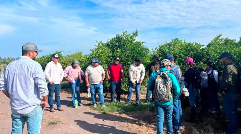 La agricultura necesita menos respuestas rápidas y más preguntas inteligentes: Jalban