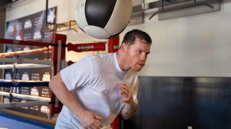 Canelo apoyará a seleccionado mexicano que pidió ayuda