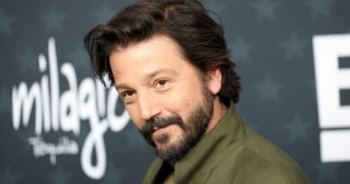 En el cine hay que ser tercos, ruidosos y rebeldes; Diego Luna
