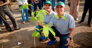Con ReforestAcción, la Universidad de Colima plantará más de 12 mil árboles, durante 2026