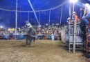 Noche de porrazos en la Explanada de La Petatera