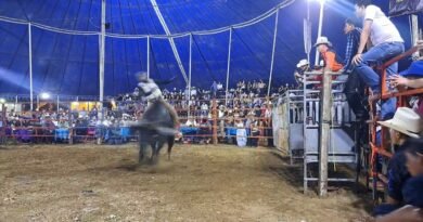 Noche de porrazos en la Explanada de La Petatera