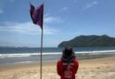 Banderas moradas por cocodrilos en franja costera