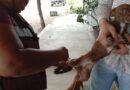 Vacunación antirrábica es gratuita y permanente