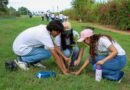 Estudiantes y personal de la UdeC plantan 240 árboles en la playa El Real, en Tecomán