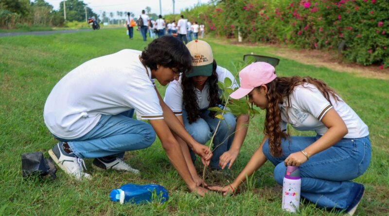 Estudiantes y personal de la UdeC plantan 240 árboles en la playa El Real, en Tecomán