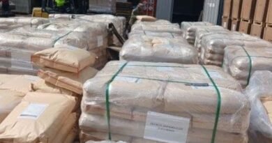 Inmovilizan más de 54 mil kilos de dextrosa anhidra en la aduana de Manzanillo