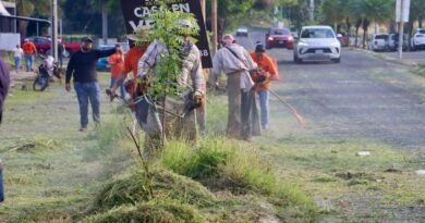 Encabeza Tey Macrobrigadas ‎de Limpieza al norte de VdeA