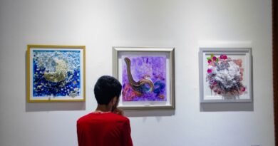 Presentan Rabo de Luna y abren la exposición “Descaro”, en Nayarit