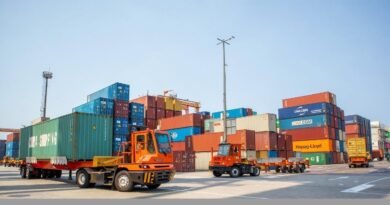 Manzanillo ha movilizado 9.5% más de contenedores que el año anterior