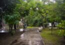 Área verde ‎en Jardines Bugambilias es Entorno Seguro