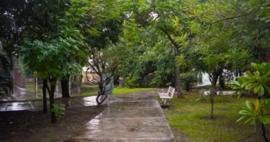 Área verde ‎en Jardines Bugambilias es Entorno Seguro