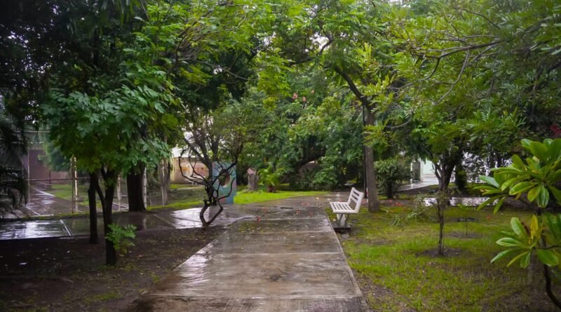 Área verde ‎en Jardines Bugambilias es Entorno Seguro