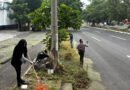 Realizan jornada de ordenamiento de áreas verdes en la avenida Niños Héroes