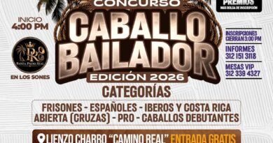 Caballo bailador, ya está puesto en los terrenos de la Feria de Todos los Santos