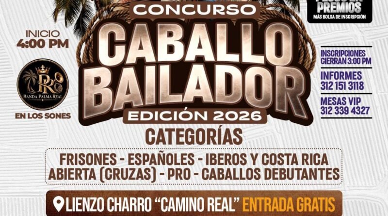 Caballo bailador, ya está puesto en los terrenos de la Feria de Todos los Santos